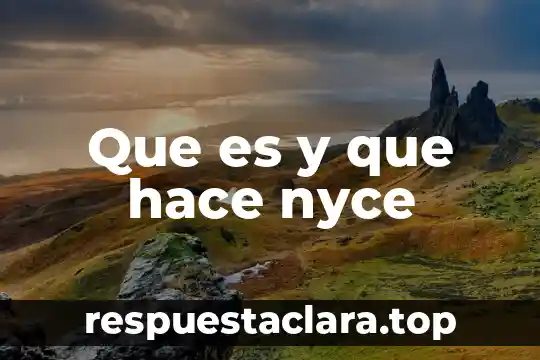 Que es y que hace nyce