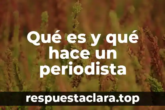 Que es ser periodista segun carmen aristegui 3 Qué es y qué hace un periodista