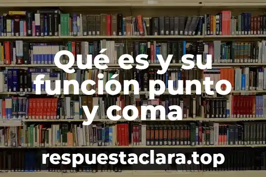 Que es el humor vitreo y que funcion cumple 3 Qué es y su función punto y coma