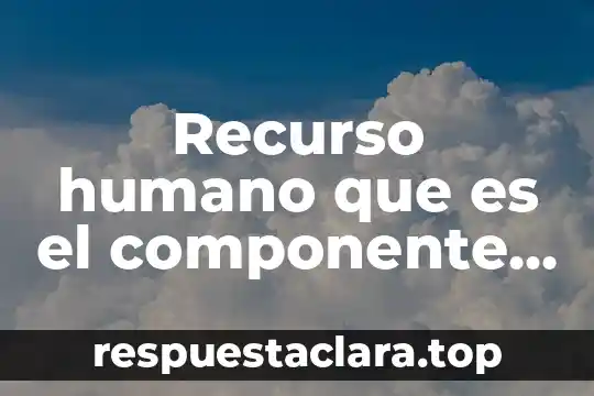 Recurso humano que es el componente más importante