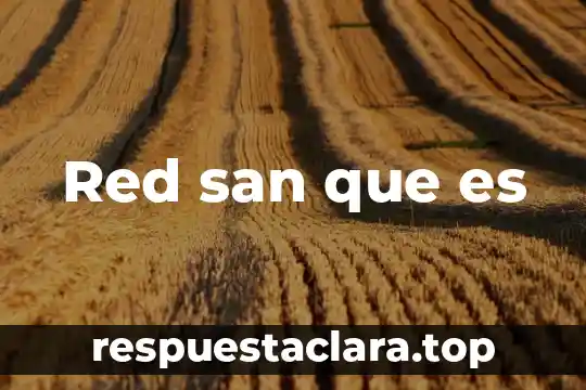 Qué es una red de LAN introducción 4 Red san que es