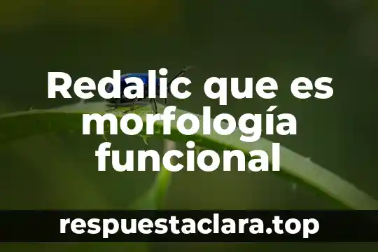 Redalic que es morfología funcional