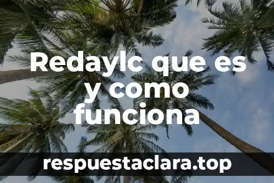 Redaylc que es y como funciona