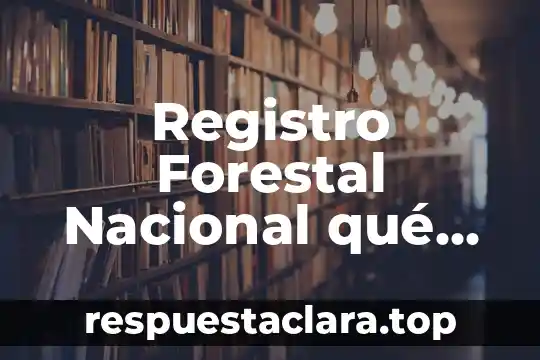 Registro holter que es 3 Registro Forestal Nacional qué es