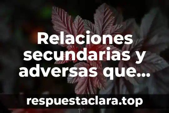 Relaciones secundarias y adversas que es