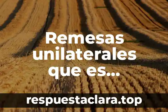 Remesas unilaterales que es significado finanzas