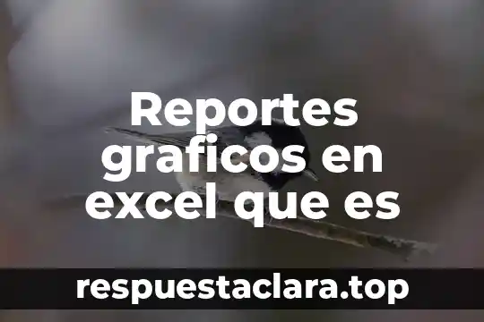 Reportes graficos en excel que es