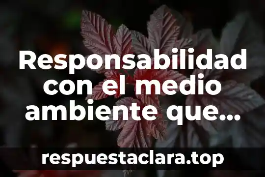 Qué es un ambiente pulvigeno 7 Responsabilidad con el medio ambiente que es