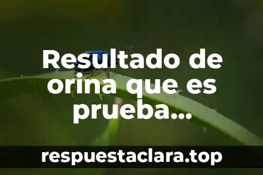 Resultado de orina que es prueba indirecta de piuria