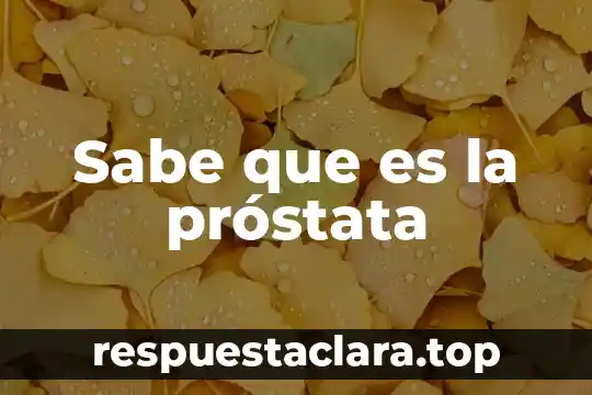 Que es el nacionalismo en el arte 6 Sabe que es la próstata
