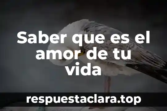 Que es una planta que refeje tu alma 7 Saber que es el amor de tu vida