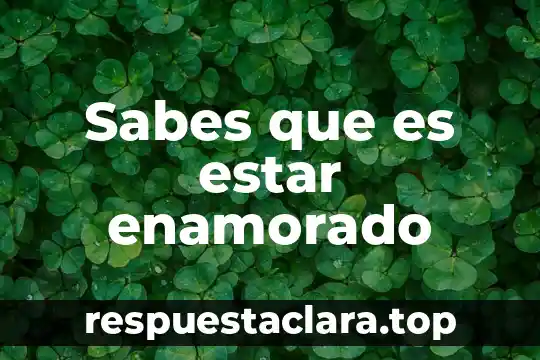 Sabes que es estar enamorado