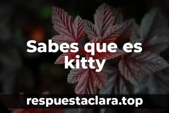 Sabes que es kitty