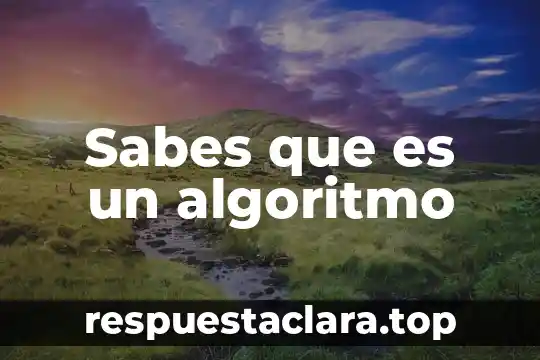 Sabes que es un algoritmo