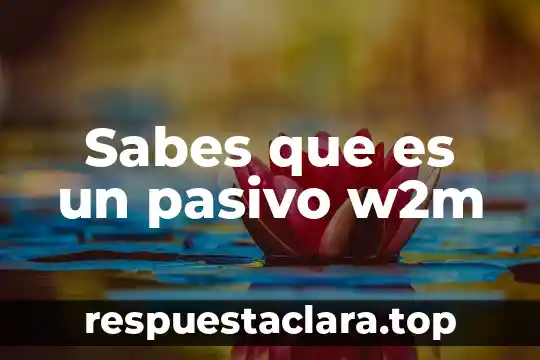 Sabes que es un pasivo w2m