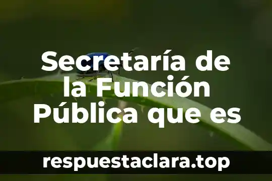 Que es ser regularizado en secretaria de salud 5 Secretaría de la Función Pública que es