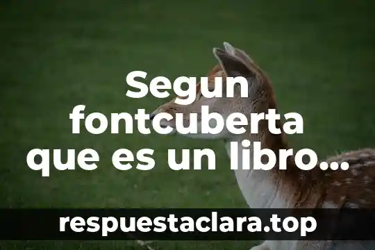 Segun fontcuberta que es un libro de estilo