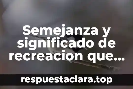 Que es unicornio significado 6 Semejanza y significado de recreacion que es