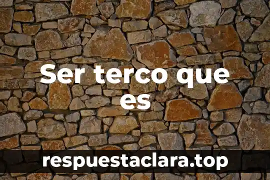 Que es ser literata 3 Ser terco que es