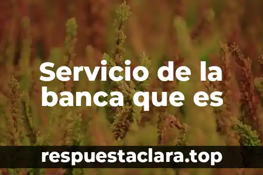 Servicio de la banca que es