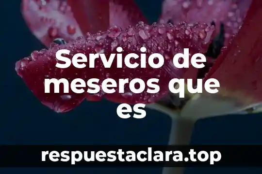 Servicio de meseros que es