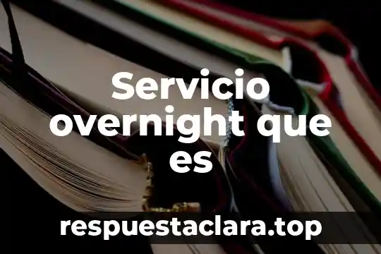 Servicio overnight que es