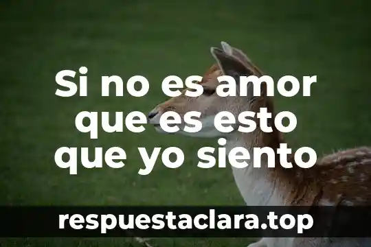 Si no es amor que es esto que yo siento