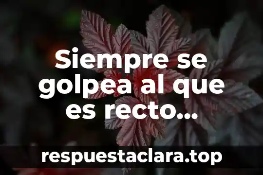 Que es maleado significado 4 Siempre se golpea al que es recto significado