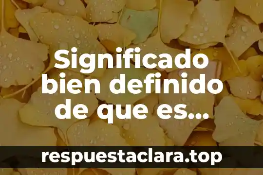 Significado bien definido de que es desigualdad