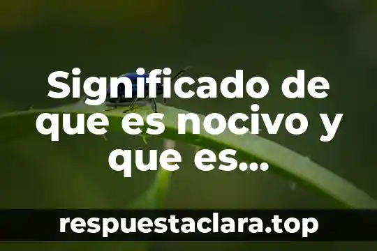 Significado de que es nocivo y que es saludable