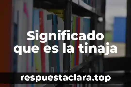 Qué es nauta significado 8 Significado que es la tinaja