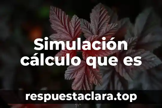 Simulación cálculo que es