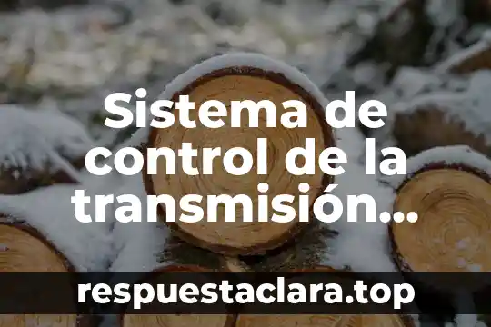 Sistema de control de la transmisión defectuoso que es