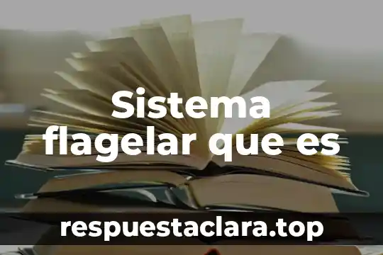 Para que es el seguro de fonacot 8 Sistema flagelar que es
