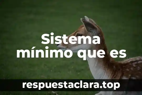 Sistema mínimo que es