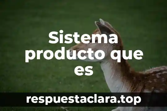 Sistema producto que es