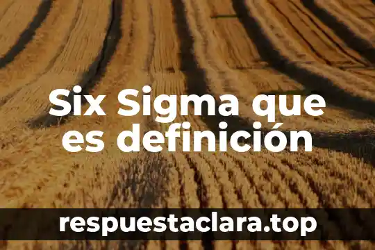 Qué es civismo y urbanidad definición 6 Six Sigma que es definición