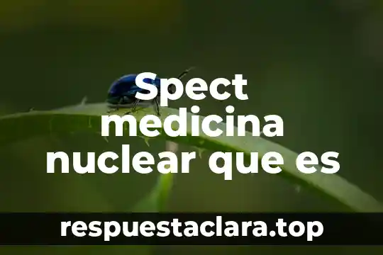 Que es lr en medicina 3 Spect medicina nuclear que es