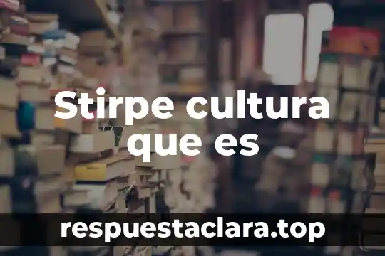 Que es lo que lleva un libro de recetas 6 Stirpe cultura que es