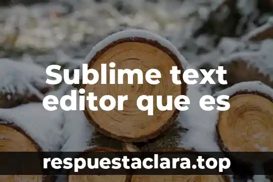Sublime text editor que es