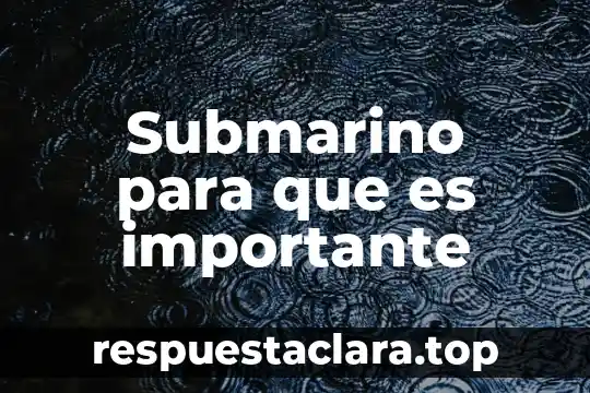 Que es ser mexicano para mi 8 Submarino para que es importante