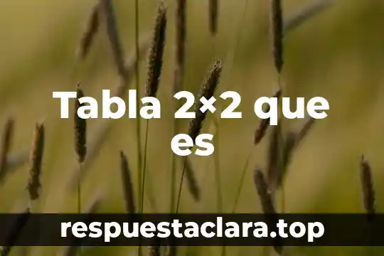 Tabla 2×2 que es