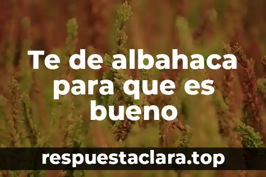 Persona que es fan del te nombre 7 Te de albahaca para que es bueno