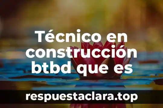 Técnico en construcción btbd que es