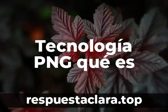 Tecnología PNG qué es
