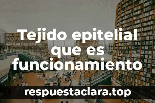 Tejido epitelial que es funcionamiento