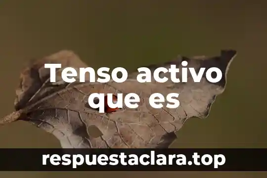 Tenso activo que es