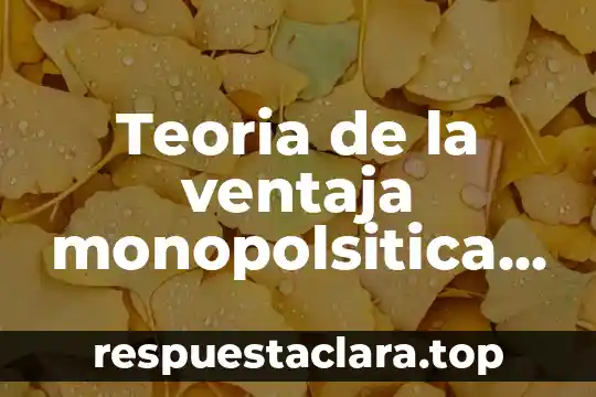 Teoria de la ventaja monopolsitica que es