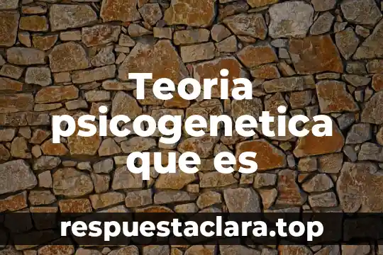 Teoria psicogenetica que es