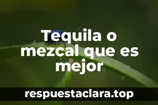 Tequila o mezcal que es mejor